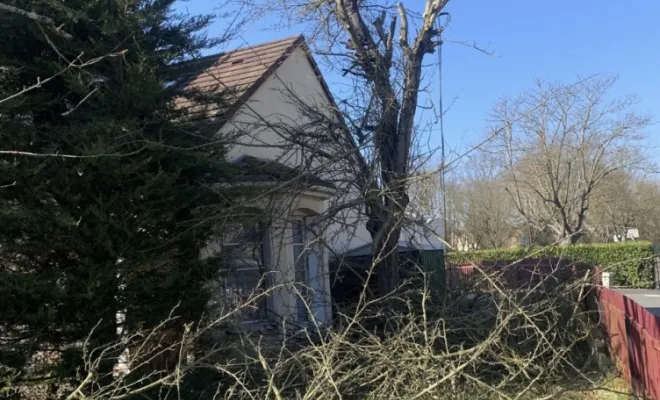 Élagage , Tremblay-en-France, MONSIEUR JACQUES MEHRSTEIN